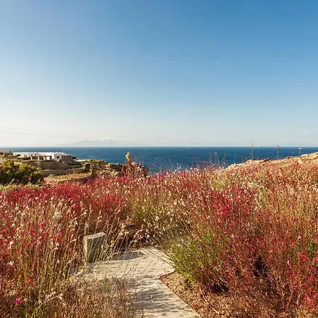 Villa Anarina & Mykonos Elia