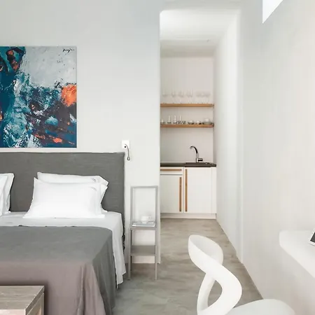 Villa Anarina & Mykonos Elia *